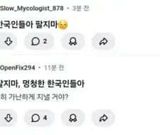 미장 개미가 보는 한국인