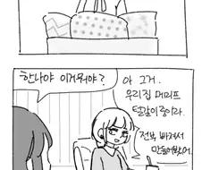 포켓몬)메리프가 털갈이 하는.manhwa