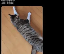 우리애가 밥을 안먹어요ㅠㅠ