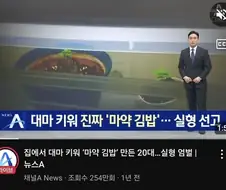 대마인이 좋아하는 한식