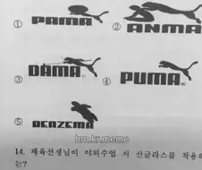 체육쌤이 인기 많은 이유