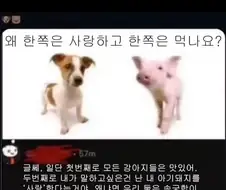 극한의 동물 사랑