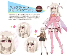 Fate] 팬들이 이 작가 욕 하는 이유
