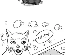 전쟁 중 고양이 만나는 만화