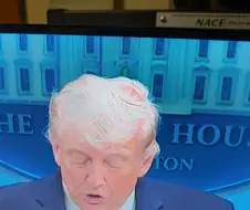 트럼프가 돈많고 권력 있어도 어쩔수 없는 것