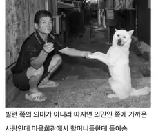 울 동네에 신기한 아저씨