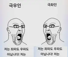 극우와 극좌의 차이점