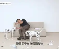 개통령 강형욱도 키우지 말라고 하는 개
