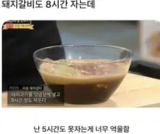 인간보다 더 잘자는 것