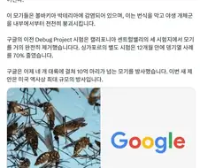 미국에 모기 3200만 마리를 풀겠다는 구글