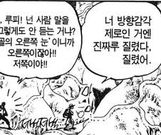 원피스) 조로가 애꾸가 된 이유