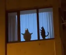 너희들의 주인님 사진.jpg