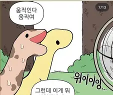 뱀들이 여름 나는 법