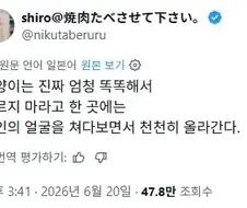고양이는 똑똑하다, 주인이 올라가지 말라고 말하면