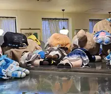 럽라)숨막히는 여고생 아이돌의 뒷태