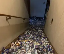 실수로 카드 보관함을 뒤엎어 버린 사람