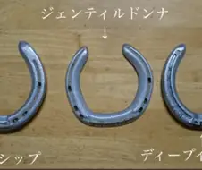 말딸?) 골드쉽이 특히 건강했던 이유