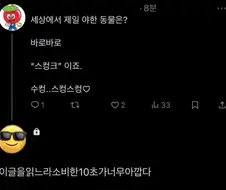 세상에서 제일 야한 동물은?