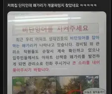 아파트 단지내 왜가리