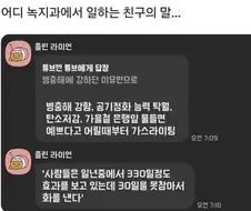 은행나무가 가로수로 가장 좋은 이유