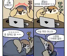 외강내유.manhwa