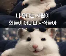 나 좋댜는 사람이 한두명이 아님