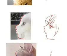 일본 만화 그림체의 진실.jpg