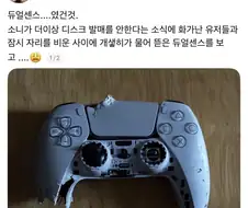 듀얼센스였던 것.jpg