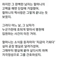 한 소녀가 사랑을 쟁취하는 방법