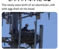 전기기사가 태어나는 모습 포착!