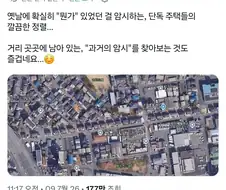 일본 위성지도를 보면 보인다는 것.jpg
