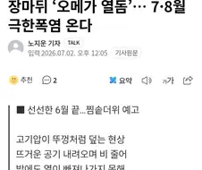 유럽 보고 웃을게 아니다