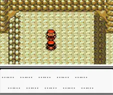 동년배 인터넷 말투 특징 알아보자