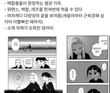 여성향 백합계가 고향최고를 좋아하는 이유
