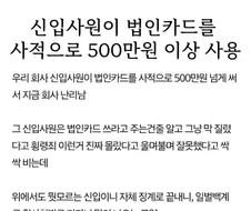 신입사원이 법인카드를 사적으로 500만원 이상 사용.jpg