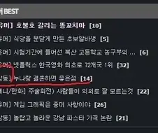 감?동)누나랑 결혼하면 좋은점
