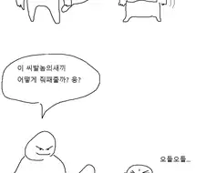 알리에서 보추 구매하는 만화.manga