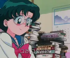 세일러 머큐리 이상형 수준.jpg