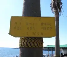 제주 할망라면.jpg