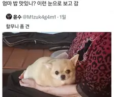 묘하게 나를 낮은 것으로 보는 존재.x