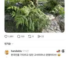 ???:이전 주인은 널 관상용으로 키웠지만...