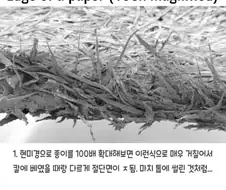종이에 베이면 더 아픈이유