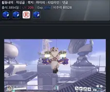 오버워치 고양이 특