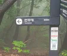 되는 것도 옶고 해서
