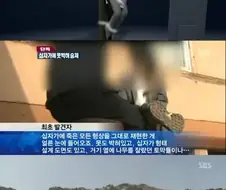 한국에서 가장 괴기스러웠던 자살사건