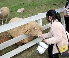 캣맘이 생기게 되는 근본적인 원인 ㄷㄷㄷㄷ