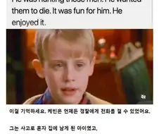 나홀로집에 영화가 알고 보면 잔인한 이유