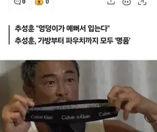 추성훈도 티팬티 입는구나
