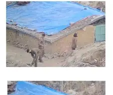 북한군 여군 내무반 모습