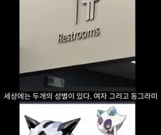 세상에는 두개의 성별이 있다